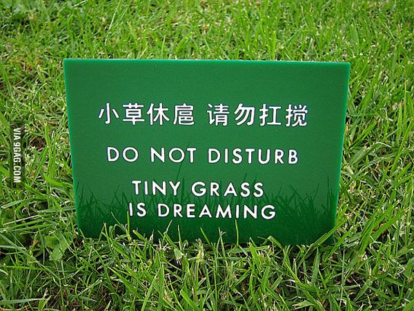 Please DO NOT DISTURB Talk Cock Sing Song